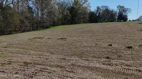 Potluck Road, Canton, MS 39046 photo 8