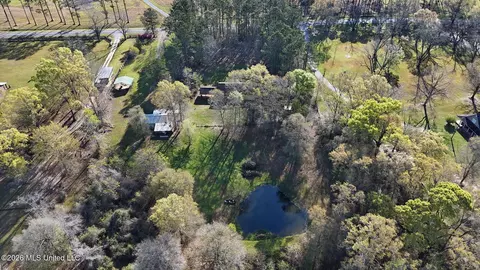 Other - 2221 Basin-central Rd, Lucedale, MS 39452 photo 10 of 11