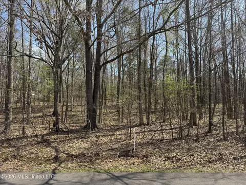 0 Steele Rd, Hernando, MS 38632