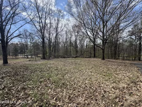 0 Steele Rd, Hernando, MS 38632 photo 5