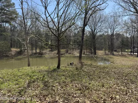 0 Steele Rd, Hernando, MS 38632 photo 4
