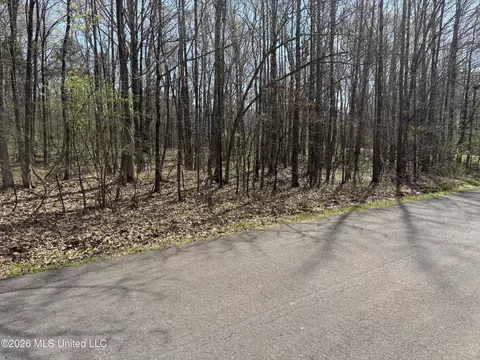 0 Steele Rd, Hernando, MS 38632 photo 3