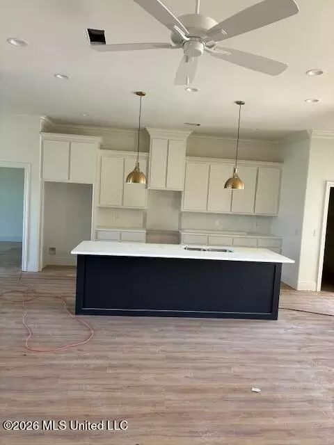 Kitchen - 102 Saint Martin St, Madison, MS 39110 photo 1 of 1