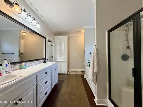Bath - 736 Hartwood Cv, Brandon, MS 39042 photo 3 of 4