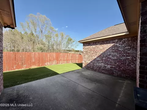 Exterior - 736 Hartwood Cv, Brandon, MS 39042 photo 4 of 7