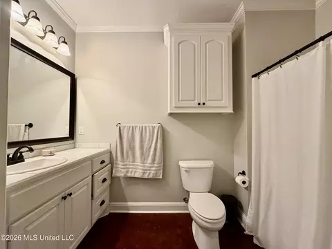 Bath - 736 Hartwood Cv, Brandon, MS 39042 photo 4 of 4
