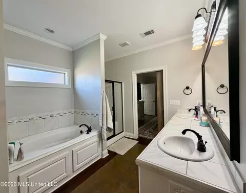 Bath - 736 Hartwood Cv, Brandon, MS 39042 photo 2 of 4