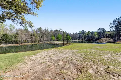 110 Jemison Ln, Lucedale, MS 39452 photo 28