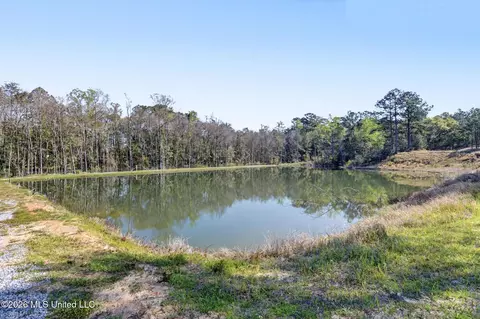 110 Jemison Ln, Lucedale, MS 39452 photo 29