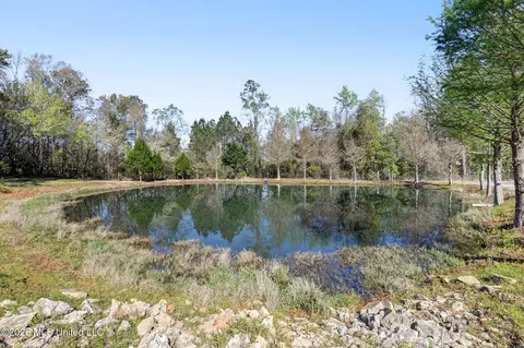 110 Jemison Ln, Lucedale, MS 39452 photo 33