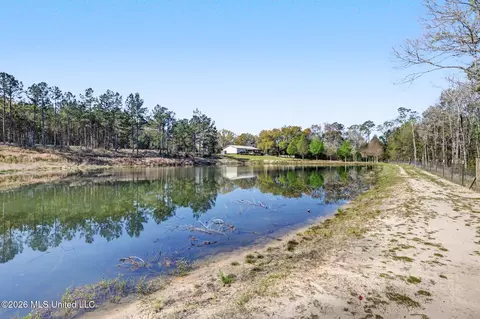 110 Jemison Ln, Lucedale, MS 39452 photo 32