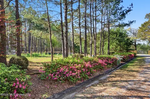 110 Jemison Ln, Lucedale, MS 39452 photo 3