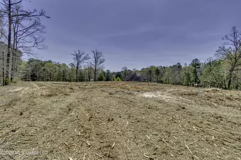Warner Drive, Brandon, MS 39042 photo 6
