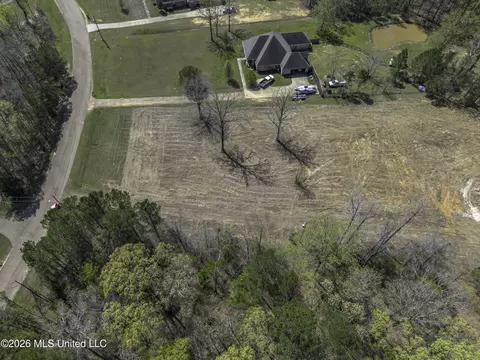 Warner Drive, Brandon, MS 39042 photo 25