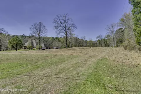 Warner Drive, Brandon, MS 39042 photo 3