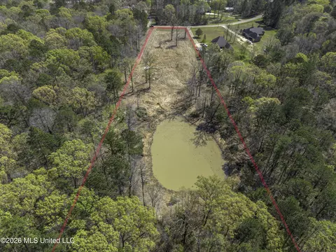 Warner Drive, Brandon, MS 39042 photo 18