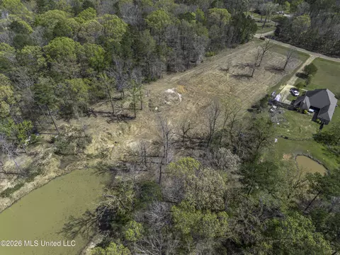 Warner Drive, Brandon, MS 39042 photo 13