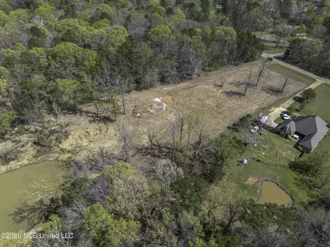 Warner Drive, Brandon, MS 39042 photo 12