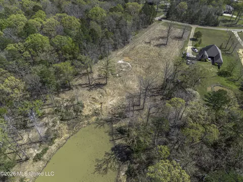 Warner Drive, Brandon, MS 39042 photo 14