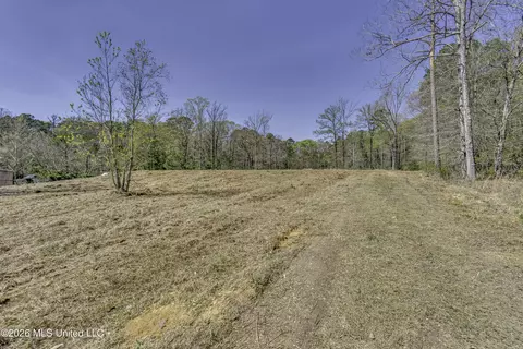 Warner Drive, Brandon, MS 39042 photo 5