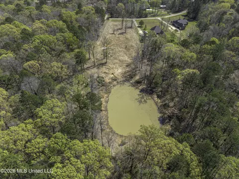Warner Drive, Brandon, MS 39042 photo 19