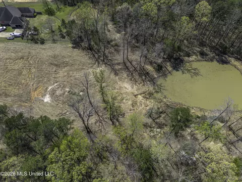Warner Drive, Brandon, MS 39042 photo 23