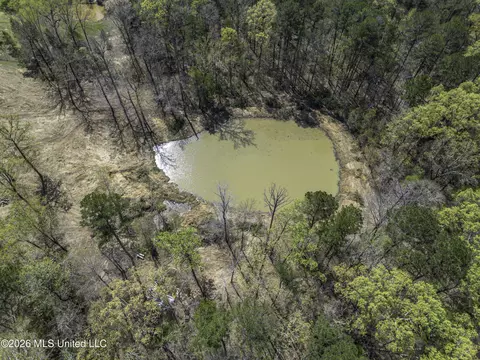 Warner Drive, Brandon, MS 39042 photo 22