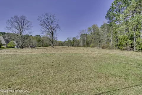 Warner Drive, Brandon, MS 39042 photo 4