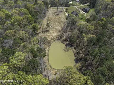 Warner Drive, Brandon, MS 39042 photo 16