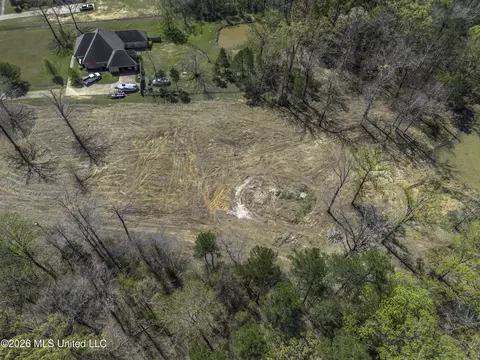 Warner Drive, Brandon, MS 39042 photo 24