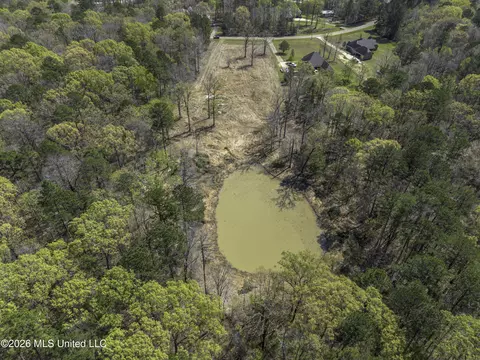 Warner Drive, Brandon, MS 39042 photo 17