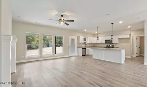 Living - 190 Rowell Rd, Coldwater, MS 38618 photo 3 of 4
