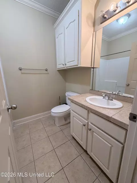 Bath - 151 Stratford Dr, Madison, MS 39110 photo 5 of 6