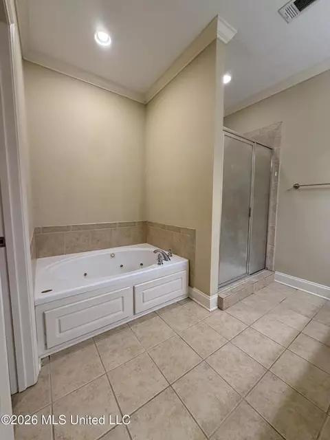 Bath - 151 Stratford Dr, Madison, MS 39110 photo 3 of 6