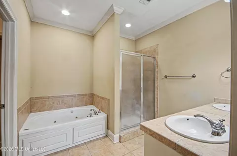 Other - 151 Stratford Dr, Madison, MS 39110 photo 10 of 17