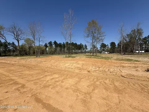 lot2 Oakley Ln, Lucedale, MS 39452 photo 3
