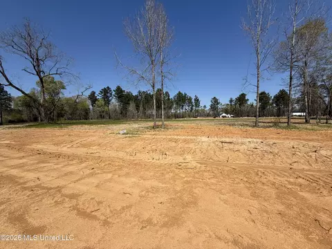 lot2 Oakley Ln, Lucedale, MS 39452 photo 2