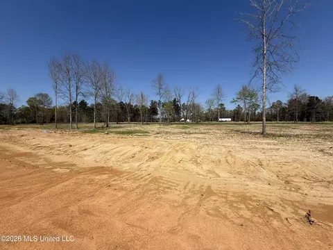 lot4 Oakley Ln, Lucedale, MS 39452 photo 4
