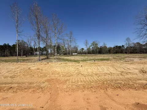 lot4 Oakley Ln, Lucedale, MS 39452 photo 2