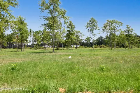 lot4 Oakley Ln, Lucedale, MS 39452 photo 9