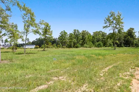 lot6 Oakley Ln, Lucedale, MS 39452 photo 4