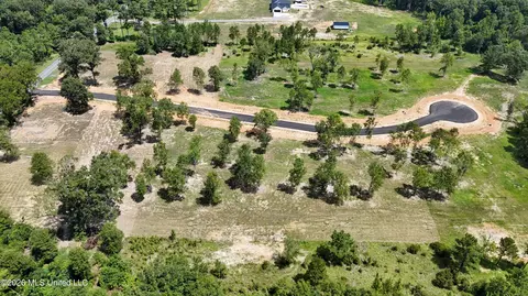 lot8 Oakley Ln, Lucedale, MS 39452 photo 4