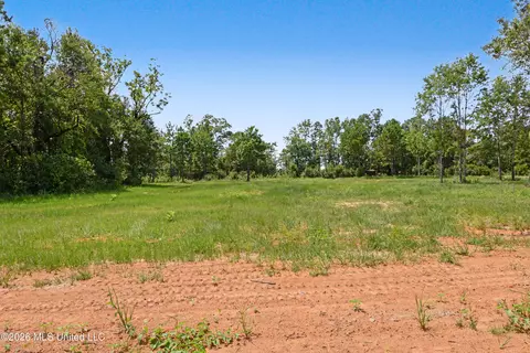 lot8 Oakley Ln, Lucedale, MS 39452 photo 7