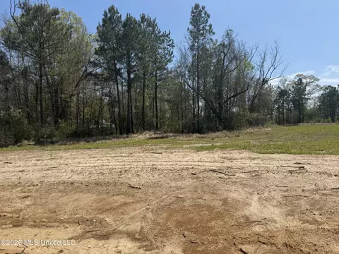 lot8 Oakley Ln, Lucedale, MS 39452 photo 4