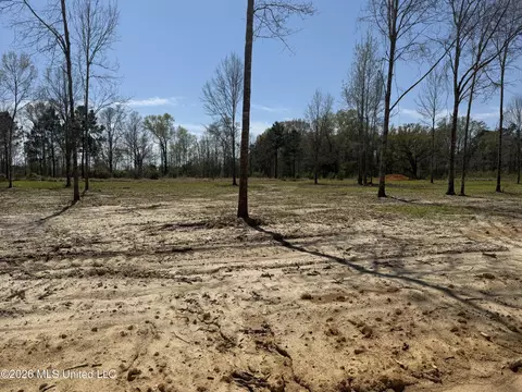 lot10 Oakley Ln, Lucedale, MS 39452