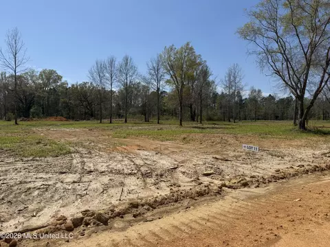 lot11 Oakley Ln, Lucedale, MS 39452
