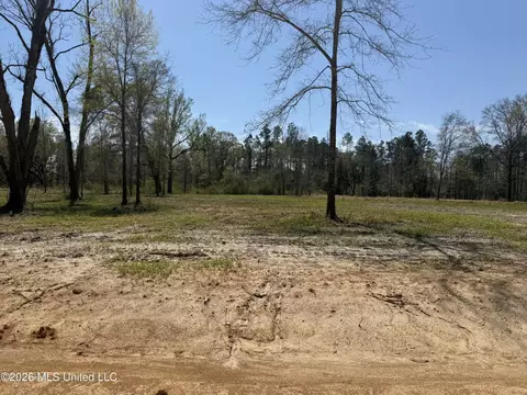 lot13 Oakley Ln, Lucedale, MS 39452 photo 2