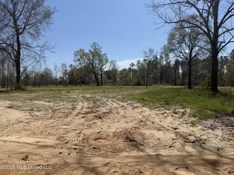 lot14 Oakley Ln, Lucedale, MS 39452 photo 3