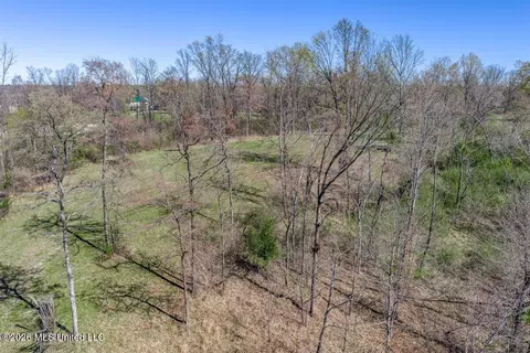 2176 Charles Rd, Olive Branch, MS 38654 photo 6