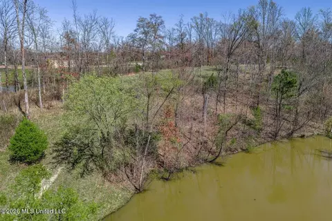 2176 Charles Rd, Olive Branch, MS 38654 photo 4